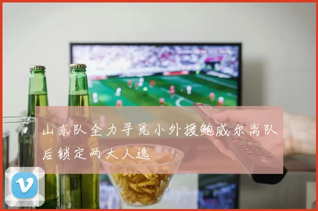山东队全力寻觅小外援鲍威尔离队后锁定两大人选