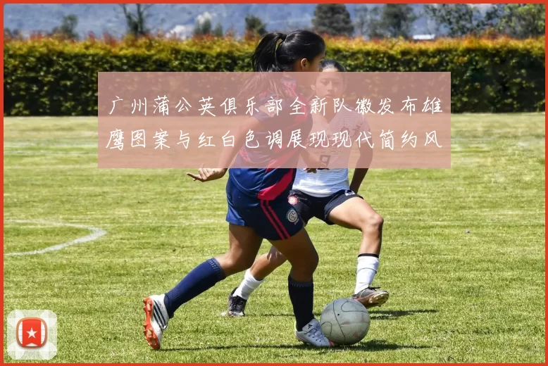 广州蒲公英俱乐部全新队徽发布雄鹰图案与红白色调展现现代简约风格