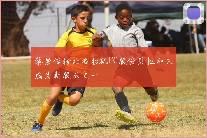 蔡崇信转让洛杉矶FC股份贝拉加入成为新股东之一