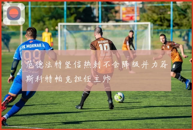 范德法特坚信热刺不会降级并力荐斯科特帕克担任主帅